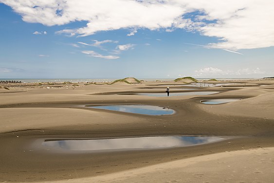 On the coast of Taijiang National Park (zh:臺江國家公園), the sand entrained by rivers and waves has been accumulated over the years and gradually exposed to the sea surface.. Photograph: Cheetah mi