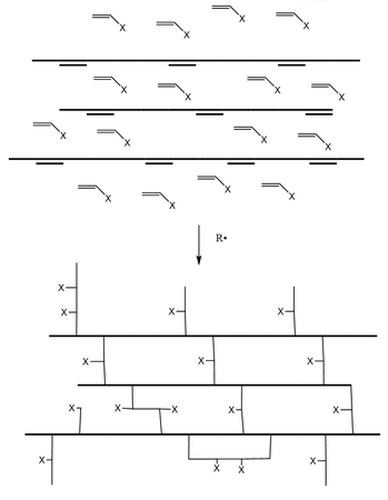 그림 16. 단량체()에 용해된 불포화 예비중합체(두꺼운 선)의 자유 라디칼 가교 중합을 나타낸 그림. 불포화된 예비중합체에서 '"`UNIQ--postMath-00000022-QINU`"' 결합과 단량체의 공중합은 가교를 만든다.