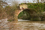 Thumbnail for Leominster Canal