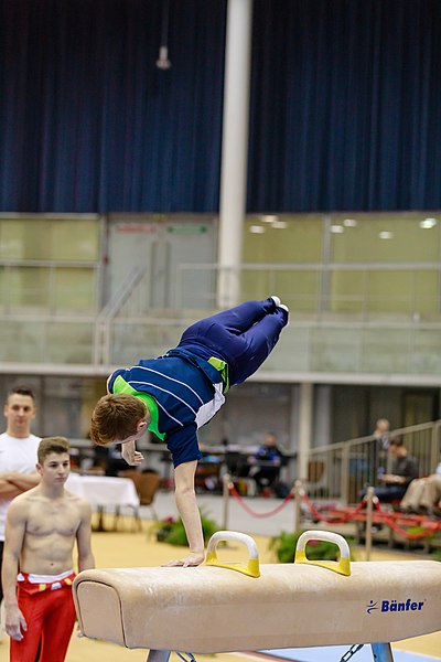 File:15th Austrian Future Cup 2018-11-24 Elia Hasler (Norman Seibert) - 06095.jpg