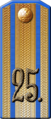 25.a División de Infantería