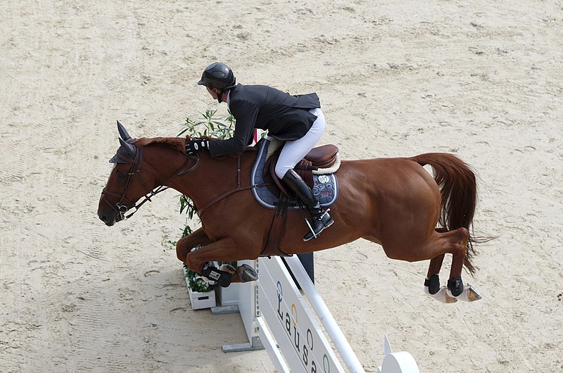 File:2013 Longines Global Champions - Lausanne - 14-09-2013 - Patrice Delaveau et Quenndal de Lojou HDC.jpg