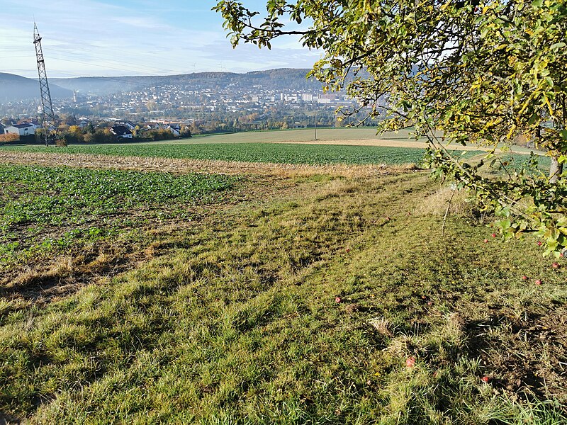 File:2021-10-31 Gedenkstätte in Tauberbischofsheim 01.jpg