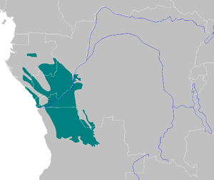 Лісосавана Західного Конго
