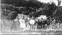 11th Light Horse Regiment (4th Light Horse Brigade) crossing the Jordan River AWM P01474.013ALHRcrossJordan.jpeg