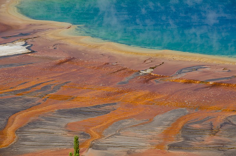 File:A corner of Grand Prismatic Spring-1.jpg