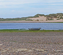 Ythan Estuary nature reserve, with tern colonies and dunes in background. Aaythanestuarywterns.jpg