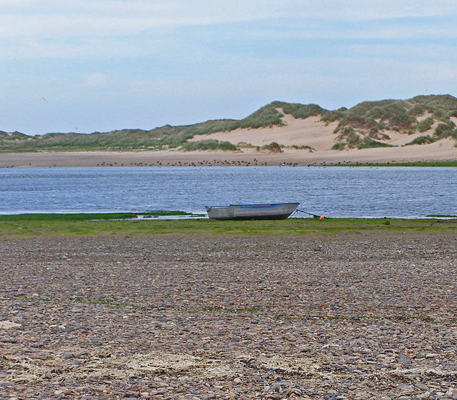 Ythan Estuary nature reserve, with tern colonies and dunes in background.