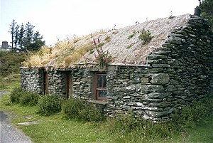 Große Hungersnot In Irland: Ursachen und Vorgeschichte, Hungersnot, Folgen