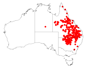 Occurrence data from AVH