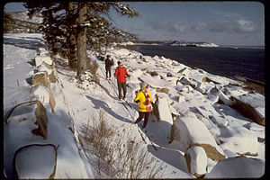 Acadia National Park ACAD0311.jpg