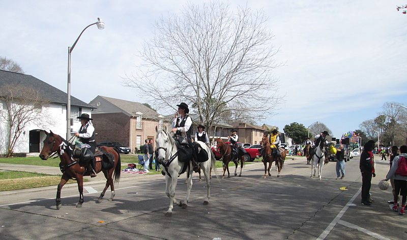 File:Adonis Parade Terrytown 2014 Horse Gals 2.jpg