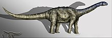 Aeolosaurus copia.jpg