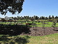 Altona Memorial Park, Altona North, Victoria