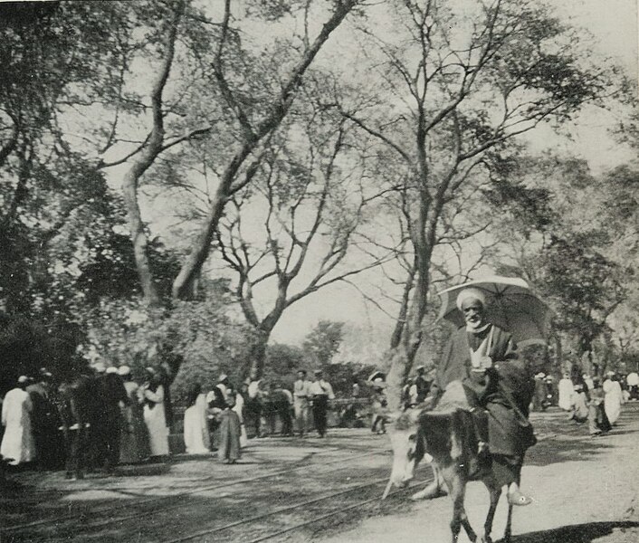 File:An Avenue in Cairo. (1911) - TIMEA.jpg