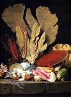 Still-Life with Tuft of Marine Plants, Shells and Corals (1769)