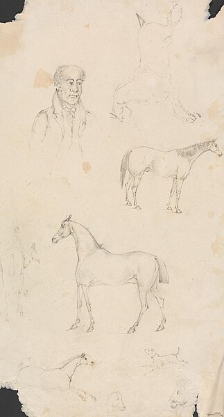 File:Anonymous - Man, Horses and Dogs - B1974.12.1732 - Yale Center for British Art.jpg