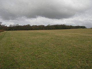<span class="mw-page-title-main">Anston Stones Wood</span>
