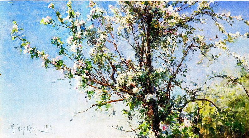 File:Apple tree in bloom.jpg