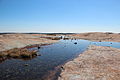 Arabia Mountain