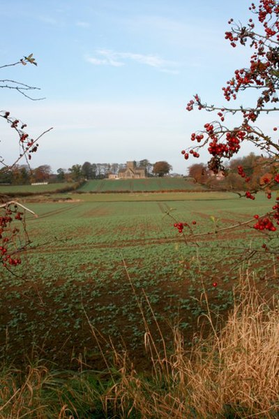 File:Arable Field, Nunthorpe - geograph.org.uk - 604209.jpg