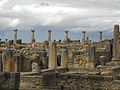 * Nomination Volubilis ruins, Morocco. By User:Baca12 --Reda benkhadra 15:41, 21 October 2016 (UTC) * Decline Focus is not correct, bottom part is unsharp and this unsharp part is too large. It is a good place to make an excellent image, but this composition is not good --Michielverbeek 20:38, 21 October 2016 (UTC)