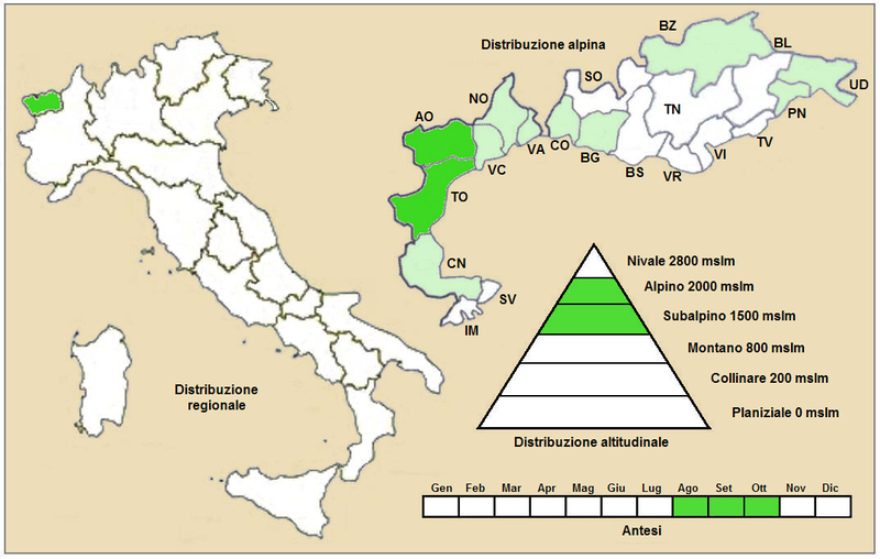 File:Artemisia campestris alpina - Distribuzione.PNG