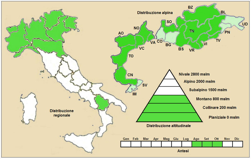 File:Artemisia campestris campestris - Distribuzione.PNG