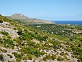 * Nomination: Garrigue in the northeast of the island of Majorca, Spain. --Oltau 15:23, 15 January 2011 (UTC)) * * Review needed