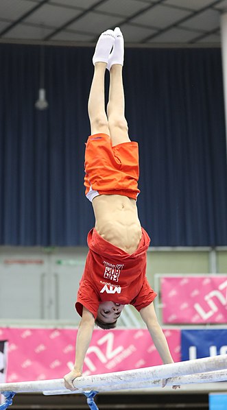 File:Austrian Future Cup 2018-11-23 Training Afternoon Parallel bars (Martin Rulsch) 0625.jpg