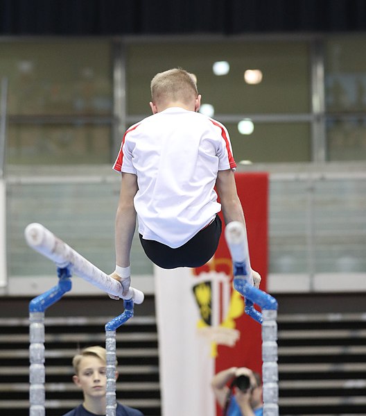 File:Austrian Future Cup 2018-11-23 Training Afternoon Parallel bars (Martin Rulsch) 0891.jpg