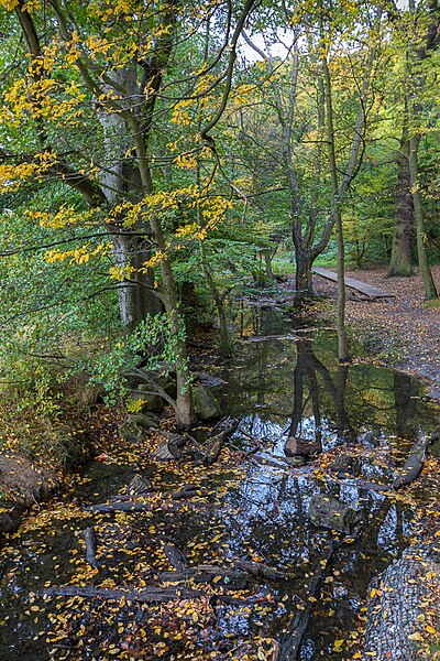 File:Autumn Colour in Grovelands Park, London N21 - geograph.org.uk - 5170185.jpg