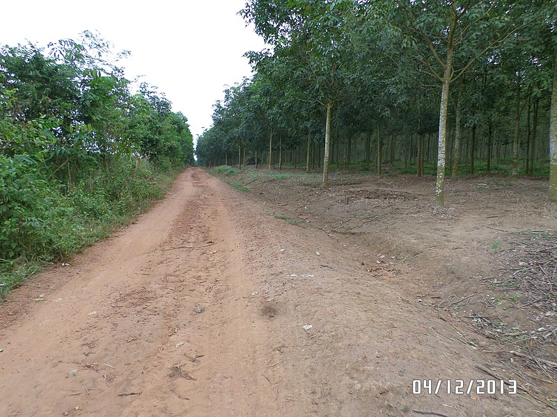 File:Bàu Cạn, Long Thành, Đồng Nai, Vietnam - panoramio (8).jpg