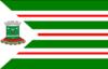 Flag of Nova Andradina