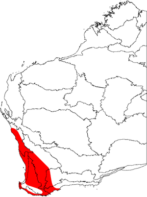 A map of the biogeographic regions of Western Australia, showing the range of Banksia sessilis. It occupies the southwestern corner of Australia.