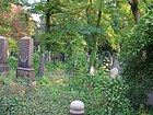 Berlin-Weissensee židovský hřbitov Graves.jpg