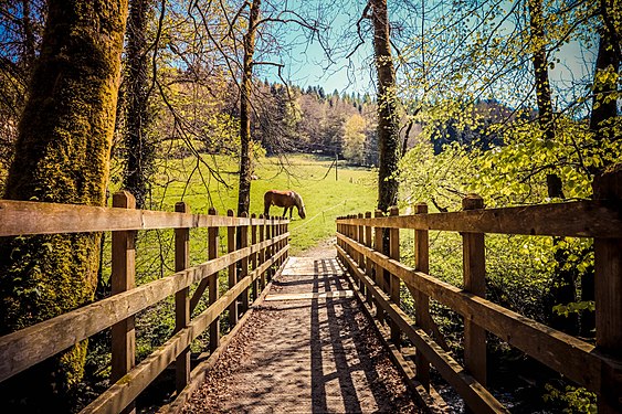 Bière - Aubonne, Parc Naturel Jura Vaudois, by Rzn Torbey