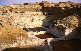Đá muối từ các mỏ halit này tại Bilma, Niger đã từng là mặt hàng quan trọng trong thương mại xuyên Sahara.