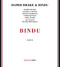 Thumbnail for Bindu (album)