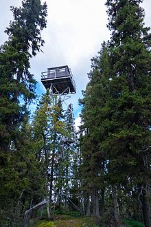 Tour légère en metal avec un chalet en bois construit à son sommet, dépassant les arbres autours.