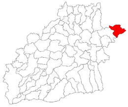 Brădeni - Carte