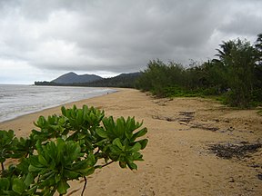 Küste bei Bramston Beach