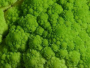 Broccoflower