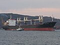 Bulk carrier arriving in port.jpg