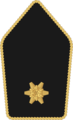 Teniente (ejército austríaco)[11]