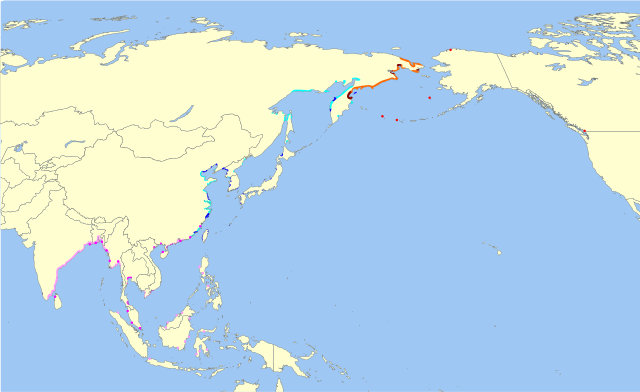 Área de distribución de Calidris pygmaea