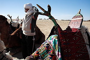 Camel saddle Sahara Festival.jpg