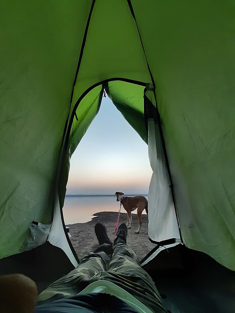 Camping with Dog