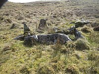 Portal Tomb von Cashel (Co. Tyrone)