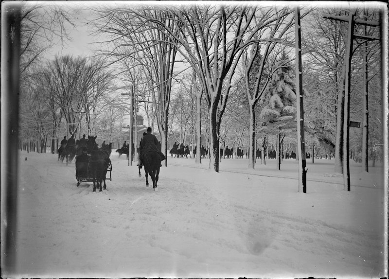 File:Cavalry in front of the Frontenac County Court House (I0012929).tif